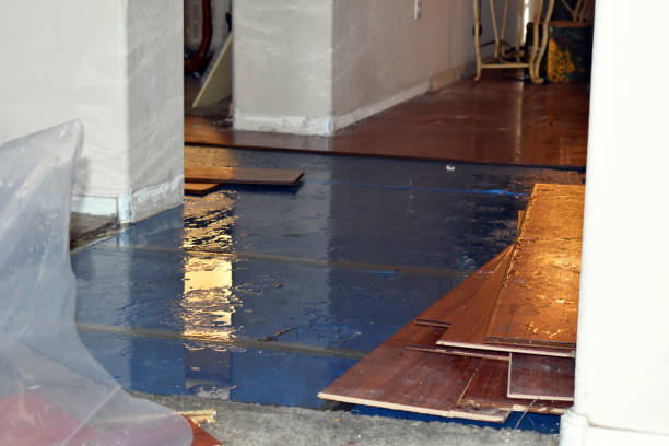 Professional Flood Damage Restoration technician working in Emeryville, CA
